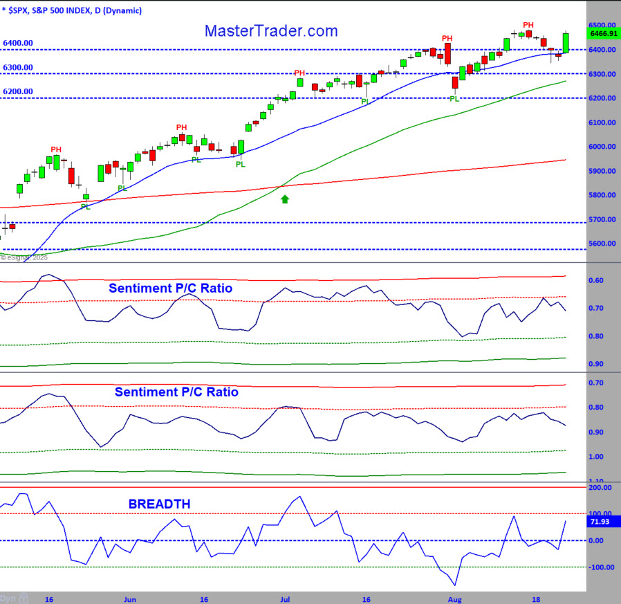 Master Trader Market Internals