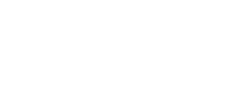 Master Trader logo